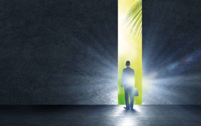 Die Prüferwende im Mittelstand mit der wp.mi AG