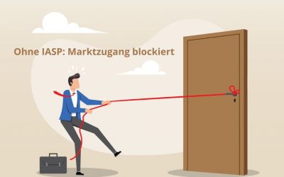 Wittsiepe bei der CSRD-Expertenanhörung im Bundestag
